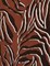 Brushed DTY Zebra Knit Soft Stretch Fabric with Animal Print 58/60" Width